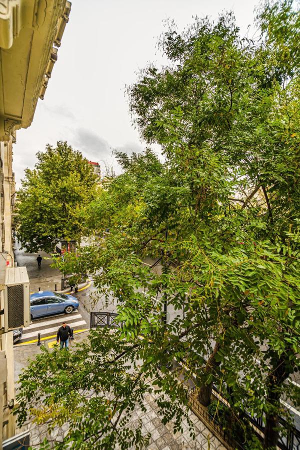 Vip Apartamen Nizami Street Apartment Baku Luaran gambar